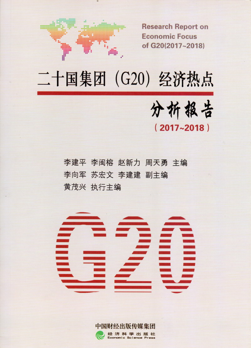 美艹逼网站二十国集团（G20）经济热点分析报告（2017-2018）